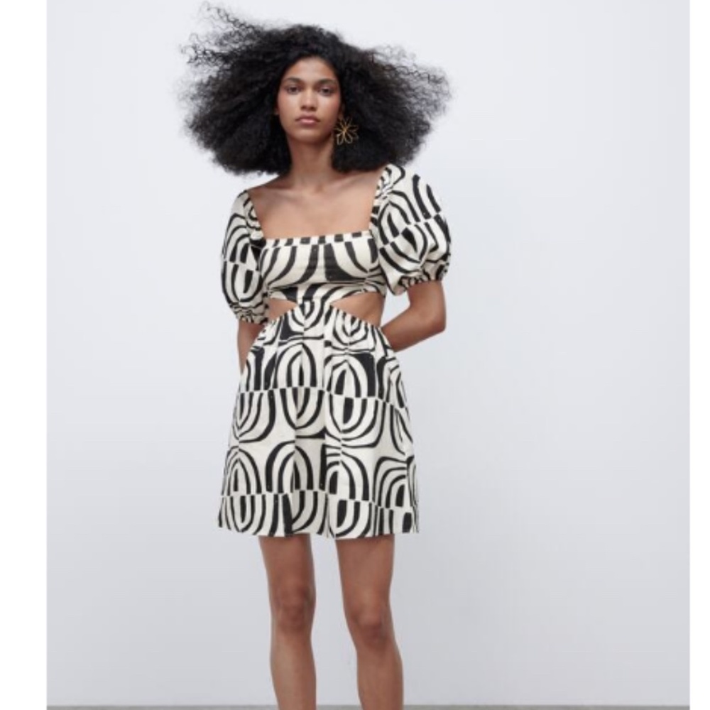 NWT Zara Print Dress